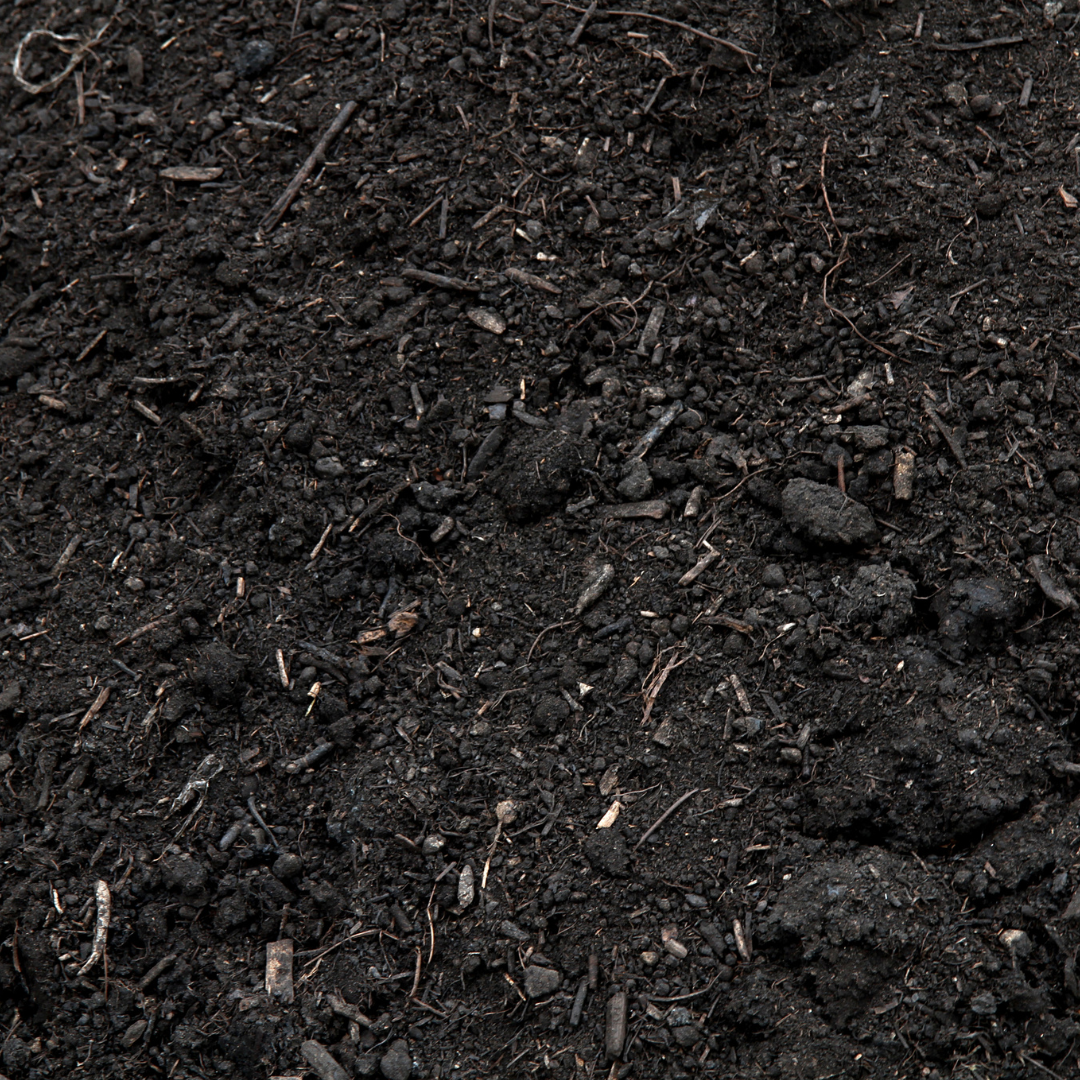 Biochar