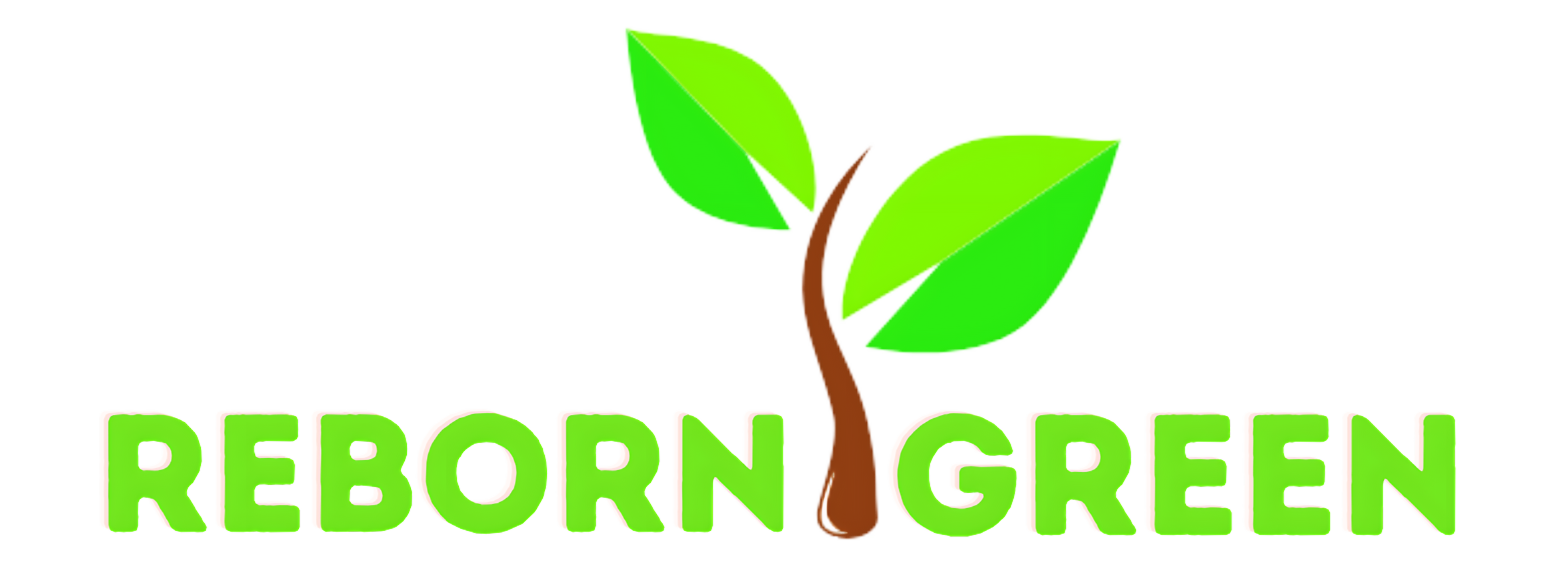 Reborn Logo